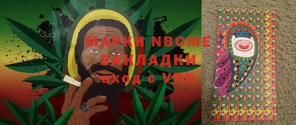 ПСИЛОЦИБИНОВЫЕ ГРИБЫ Тотьма
