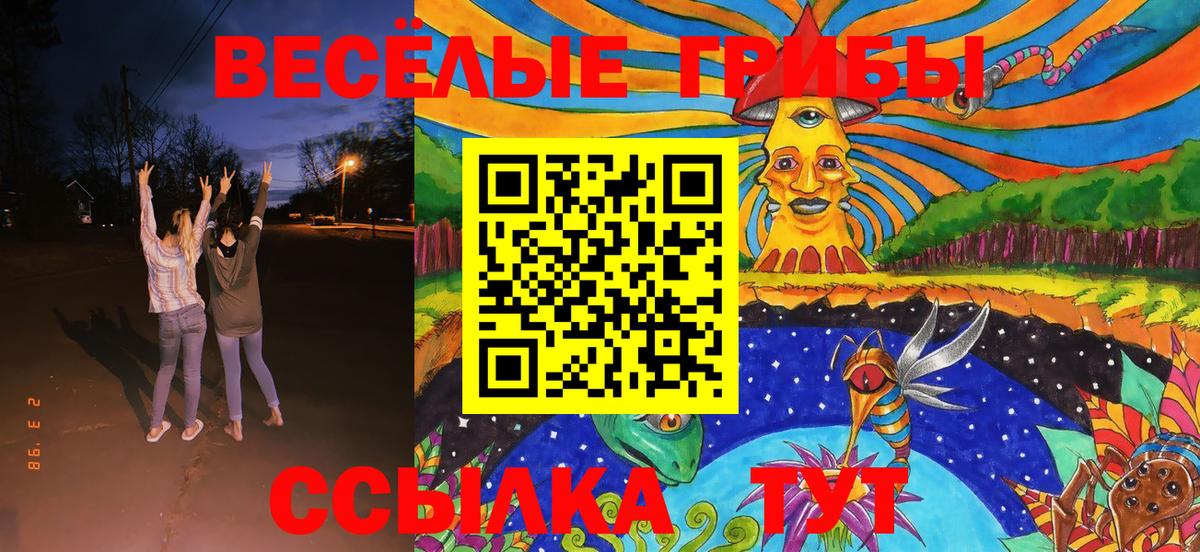 Псилоцибиновые грибы Cubensis  как найти закладки  Ноябрьск  Вход с VPN  Галлюциногенные грибы Cubensis 